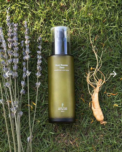 Root Booster Tonic (Lavender Ginseng)