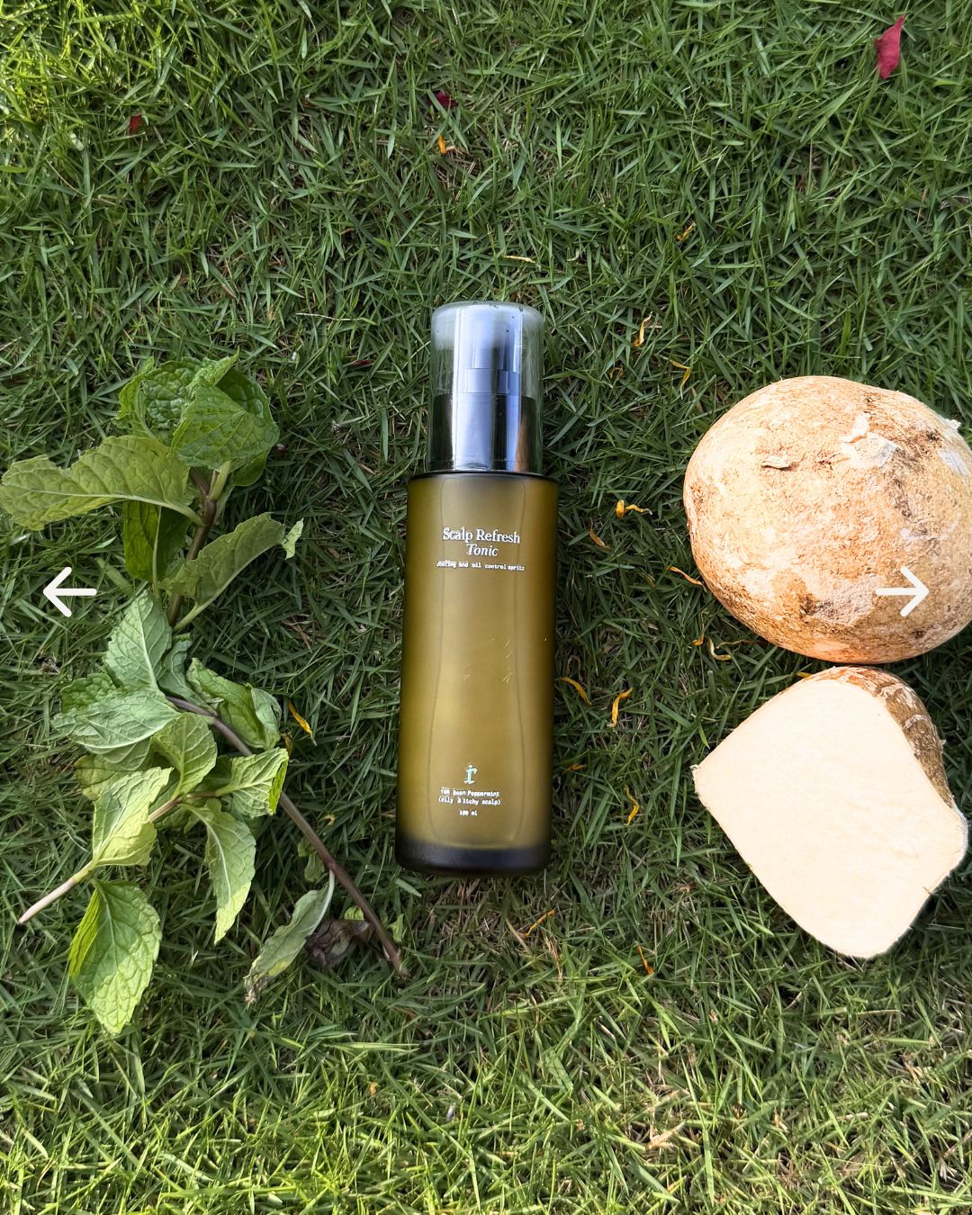 Scalp Refresh Tonic (Yam Bean Peppermint)