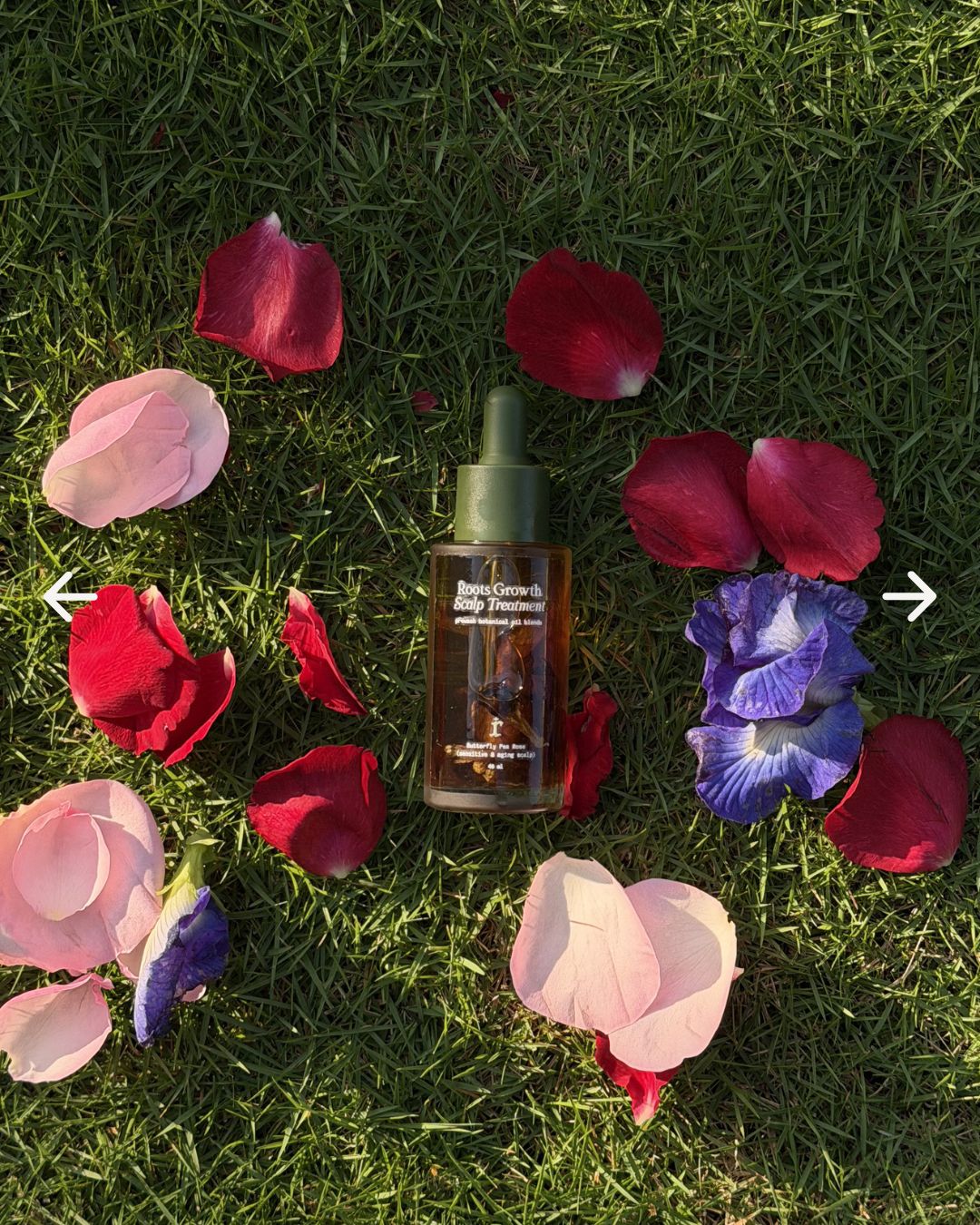 Roots Growth Scalp Treatment (Butterfly Pea Rose)