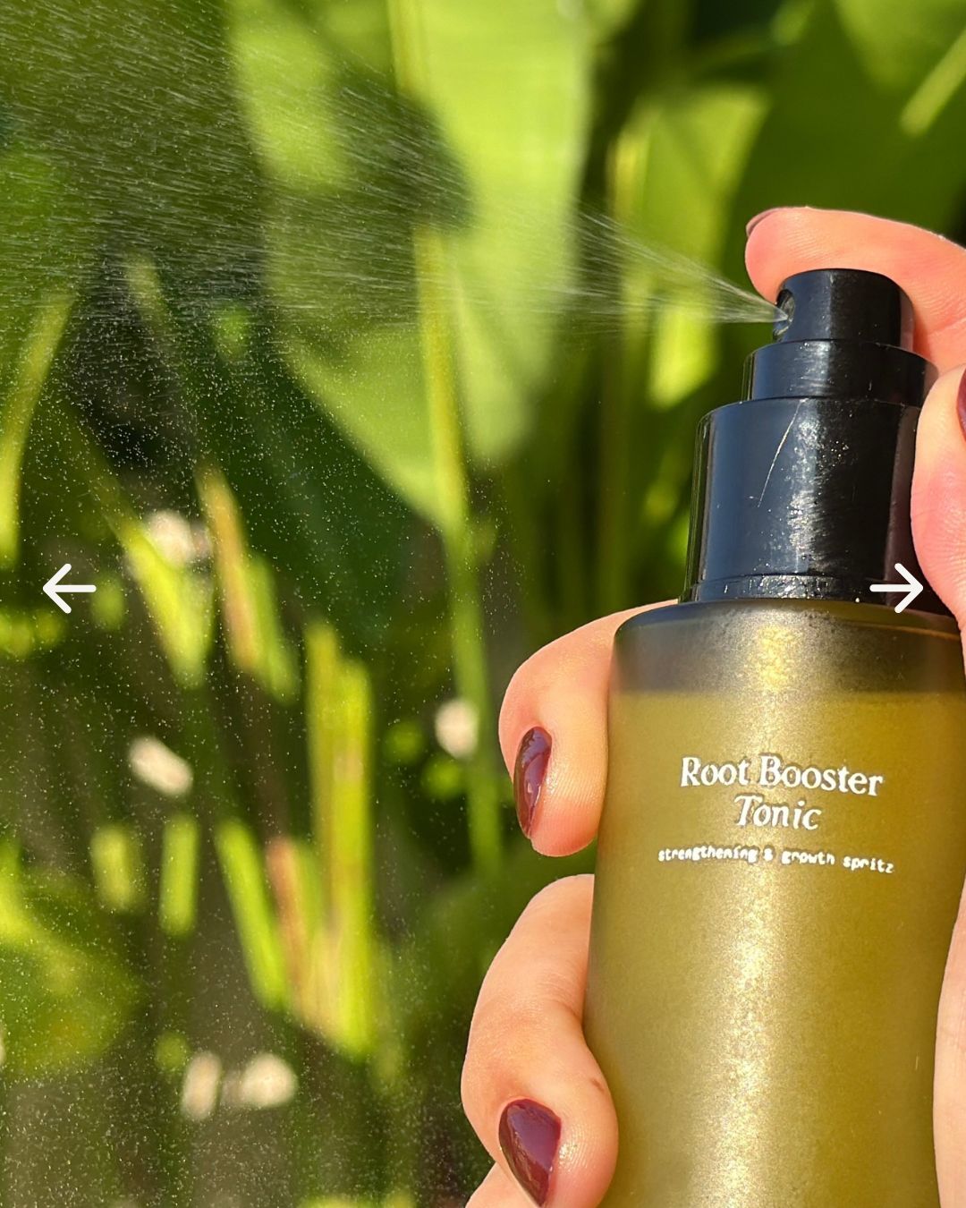 Root Booster Tonic (Lavender Ginseng)